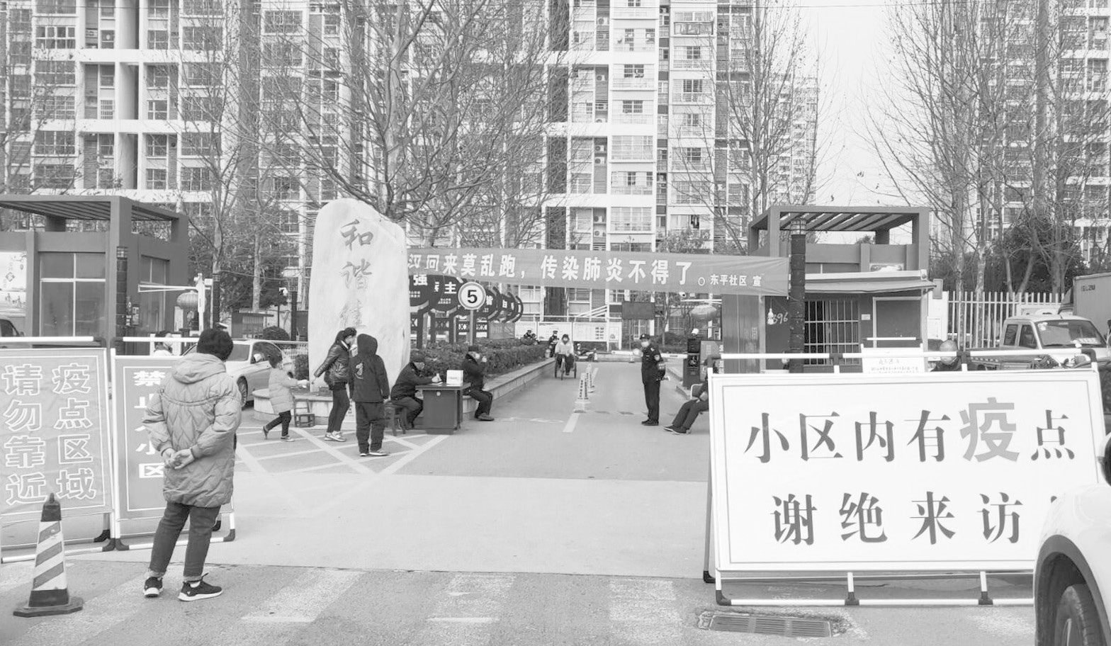 点击放大查看